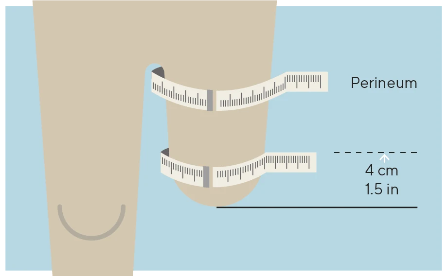 Measurement illustration for Nord° TF liners.